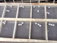 ��ӺYľ��Y�W(w��ng)��Ʒ���